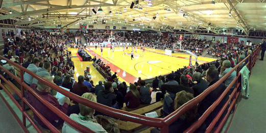 Eric Davidson banner