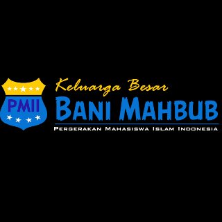 PMII_STAINU's profile banner image