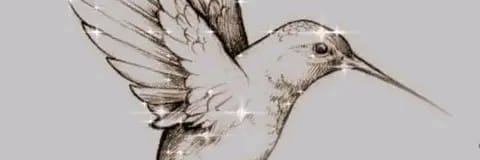 TRYNY GARCÍA🐦🍀 #ℝ𝕩𝕄 #AmorAMéxico #RedMasUNO banner