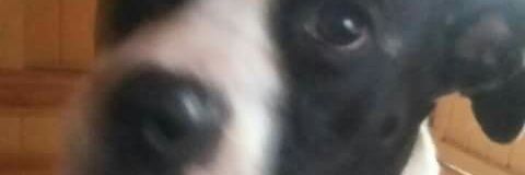 gov0406's profile banner image