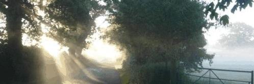 wopthedo's profile banner image