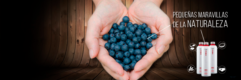 Morinda_cl's profile banner image