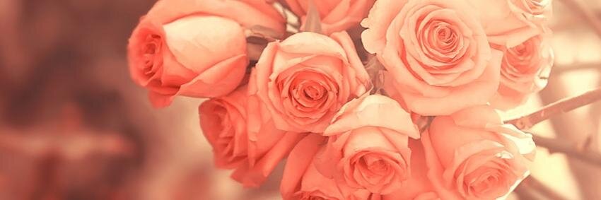 Haylin20549148's profile banner image