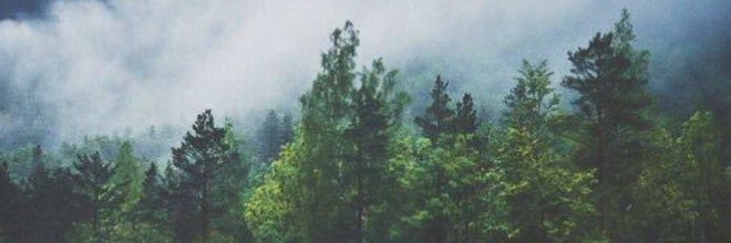 j_allnaeem's profile banner image