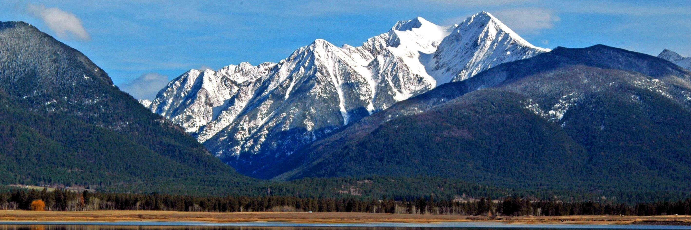 🥷Stewart Schatz🥷 banner