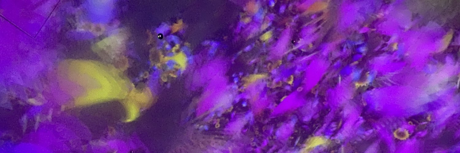 Yucchies55's profile banner image