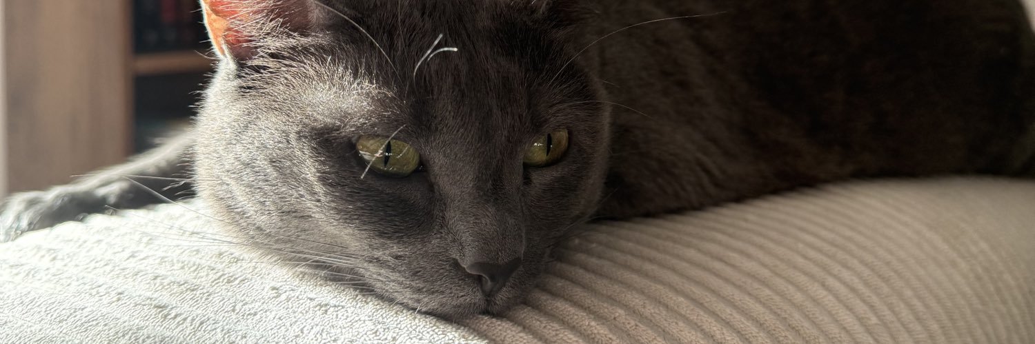 𝐶ℎ𝑖𝑖𝑟𝑜 ᰔᩚ banner