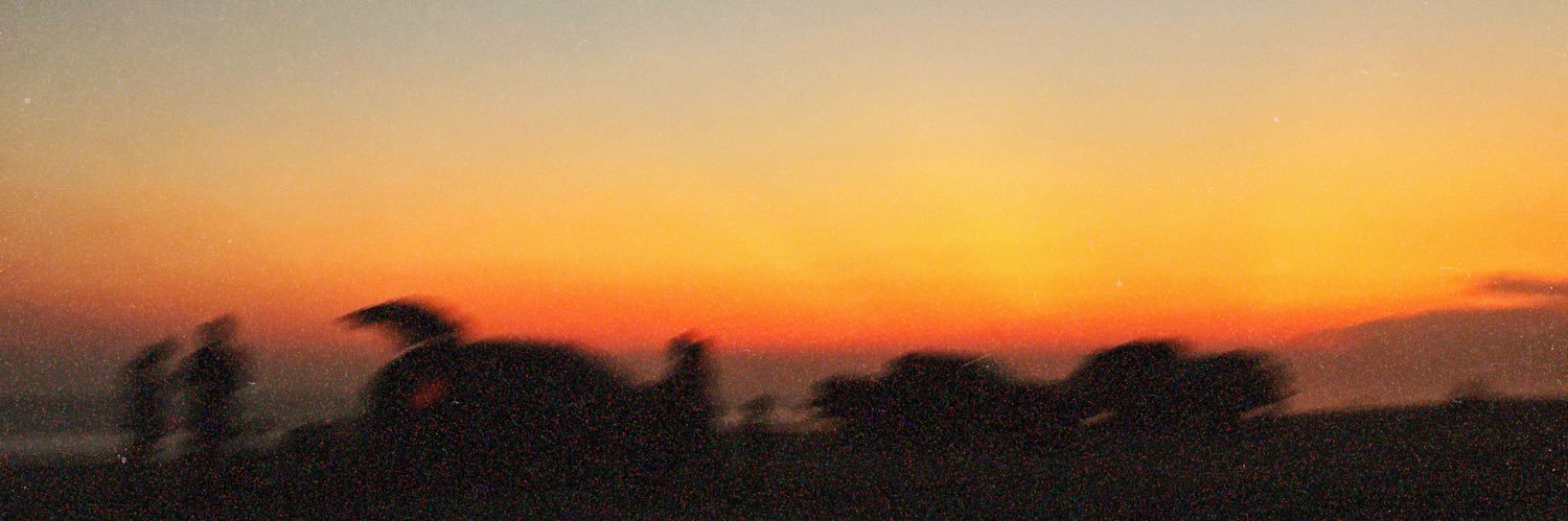 Jorge Cabrera Agreda banner