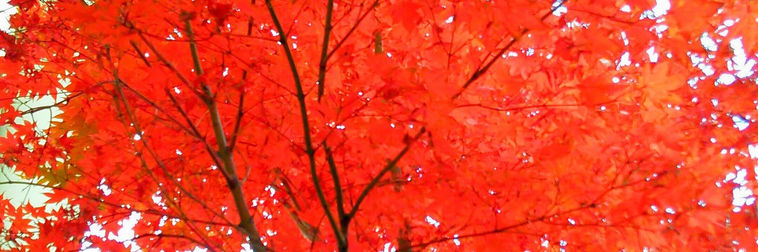 takako1024's profile banner image