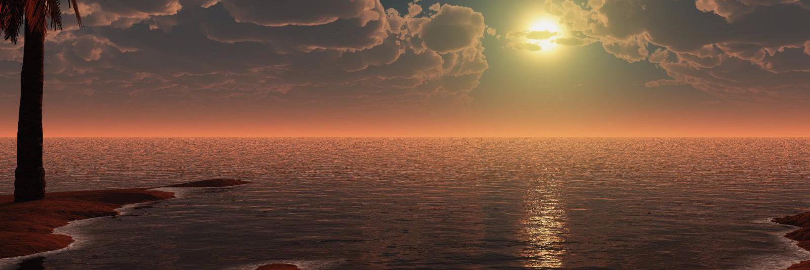 𝓕𝓮𝓻𝓷𝓪𝓷𝓭𝓪🎓🧺🔎 banner