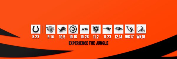 Bengals Profile Banner