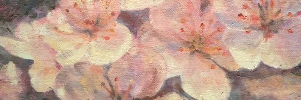 PookyNene Profile Banner