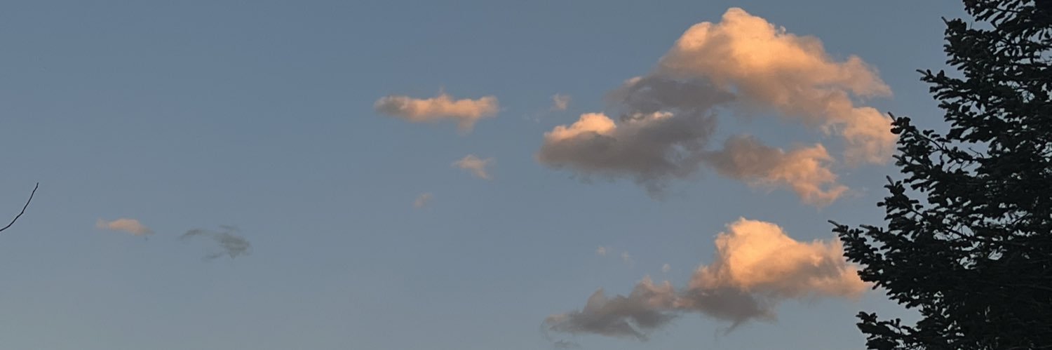 MollyFord_'s profile banner image