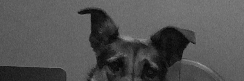 valeaguileraa1's profile banner image