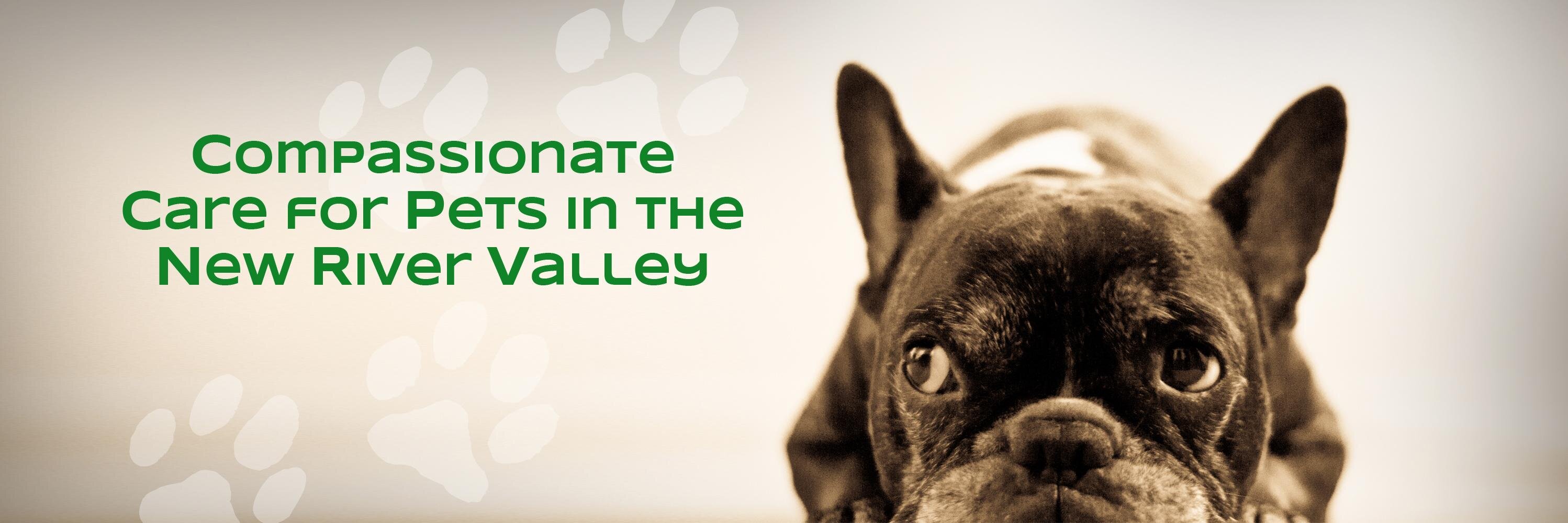 MainSt_Vets's profile banner image