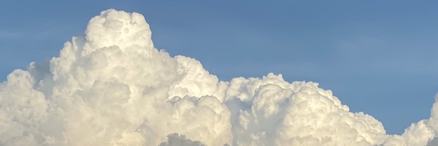 jjasminekali's profile banner image