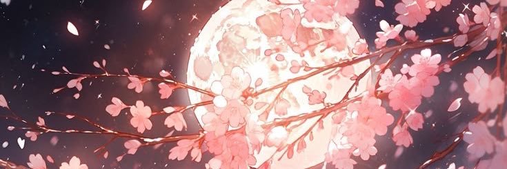_nonah2's profile banner image