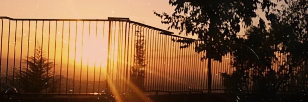 aalba_fernandez's profile banner image