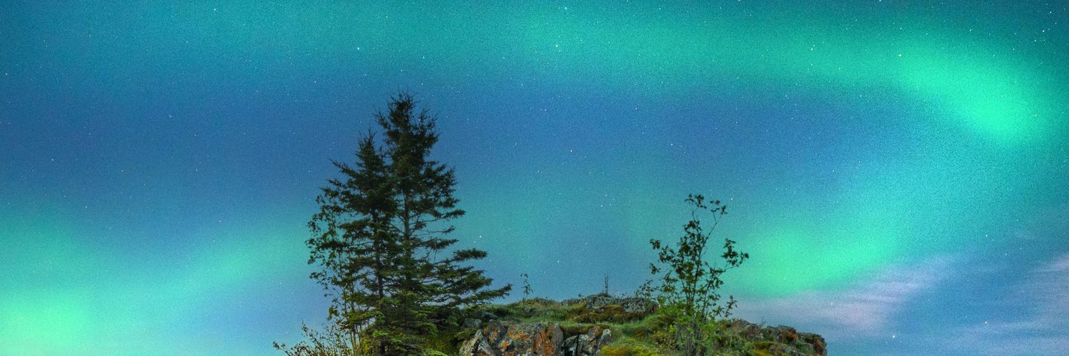 majyka's profile banner image