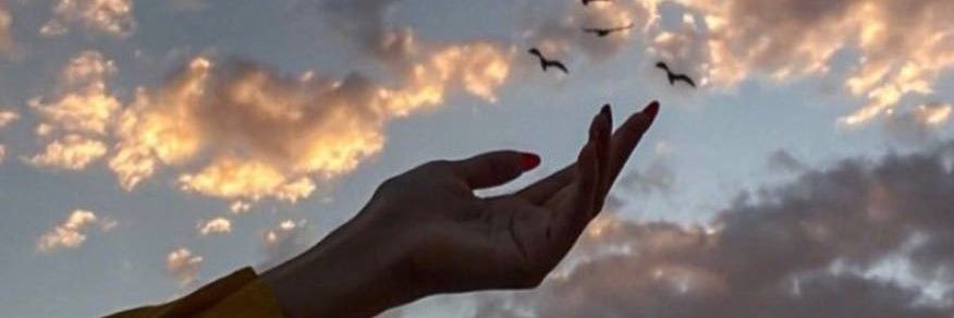 Nadia_althomali's profile banner image