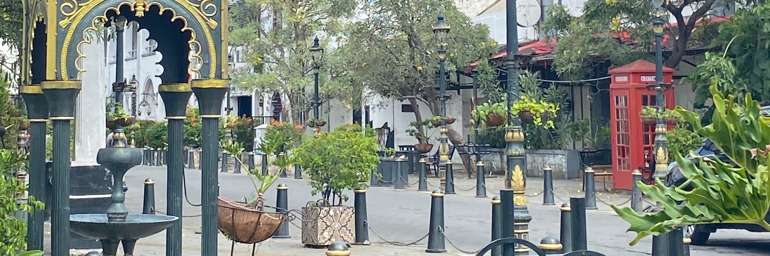 𝒘𝒉𝒐? banner