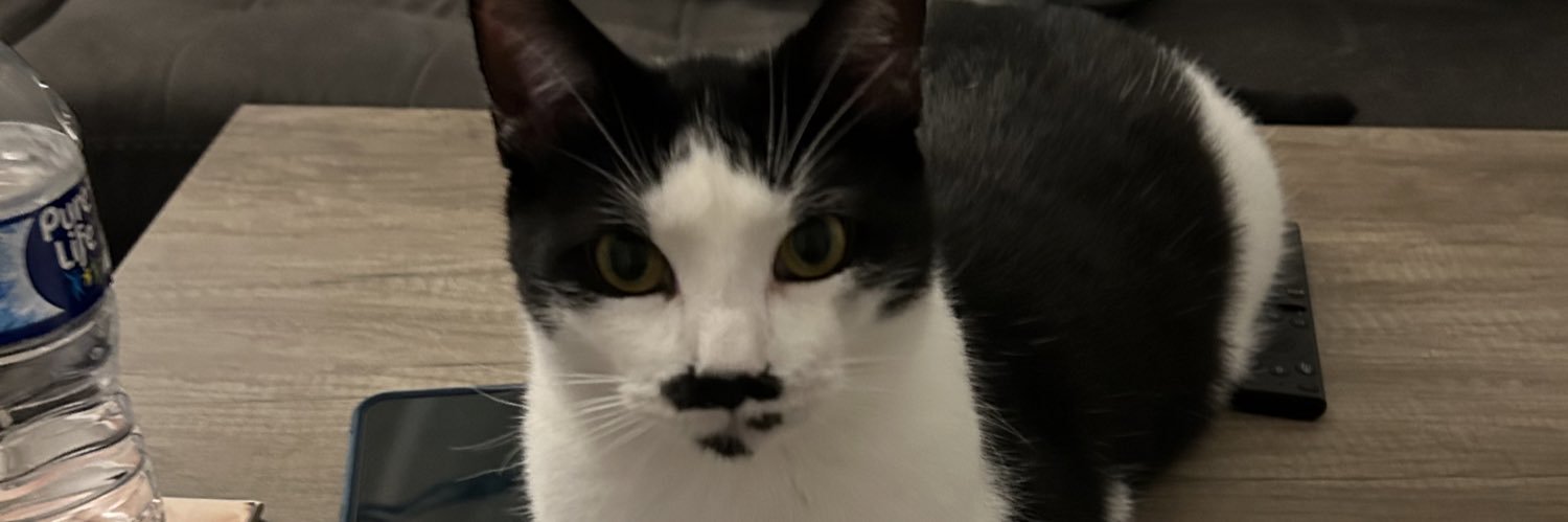 mnorm22's profile banner image