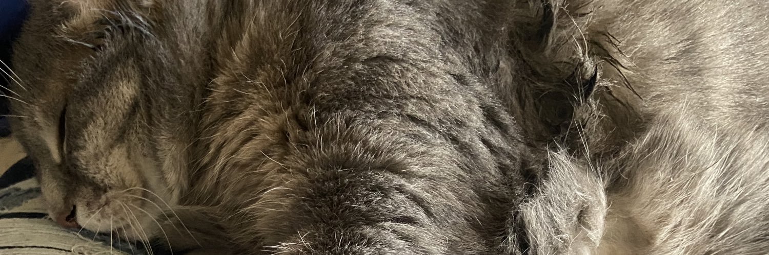 ranitnorth's profile banner image