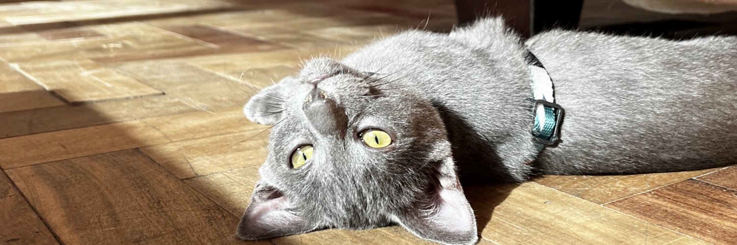 upluciane's profile banner image
