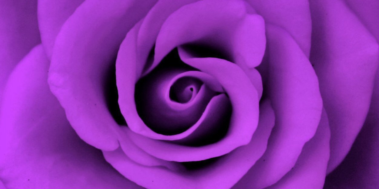 lanitamargheim's profile banner image
