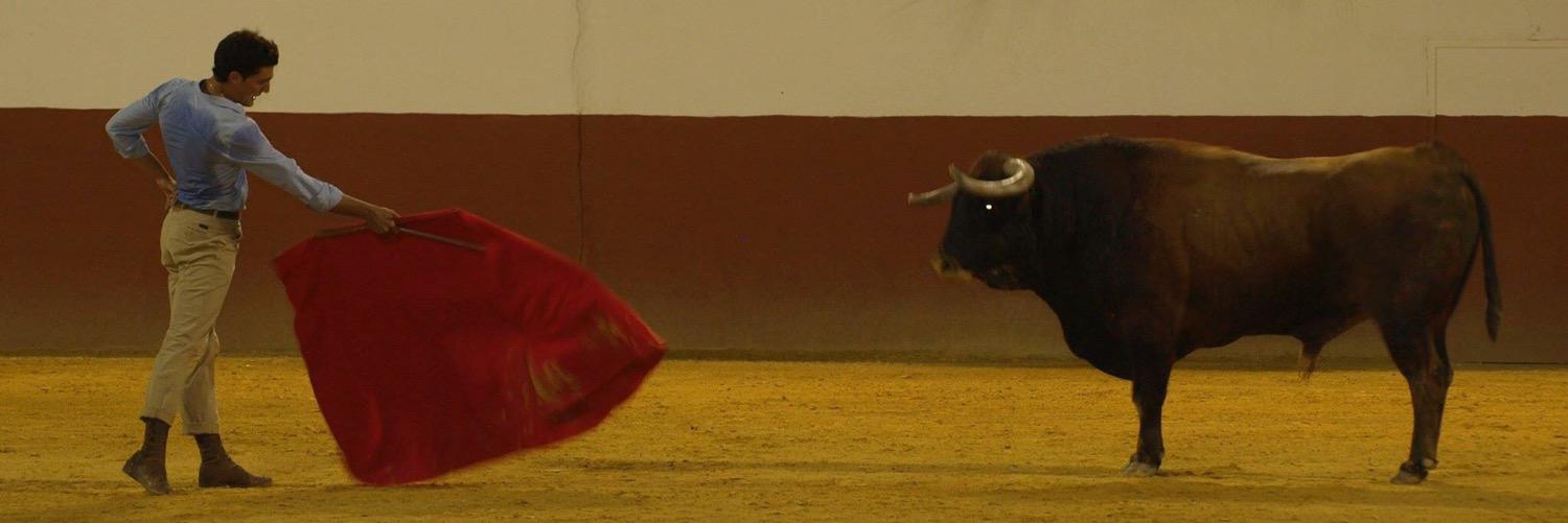 tauromarchena's profile banner image