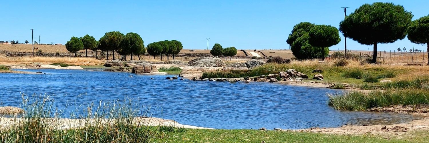 Alberto Maceda-Veiga banner