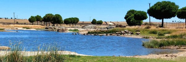 AMacedaVeiga Profile Banner