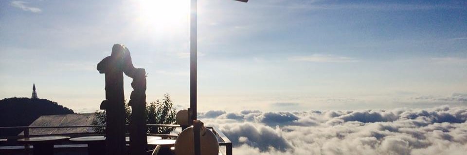 altimatearty's profile banner image
