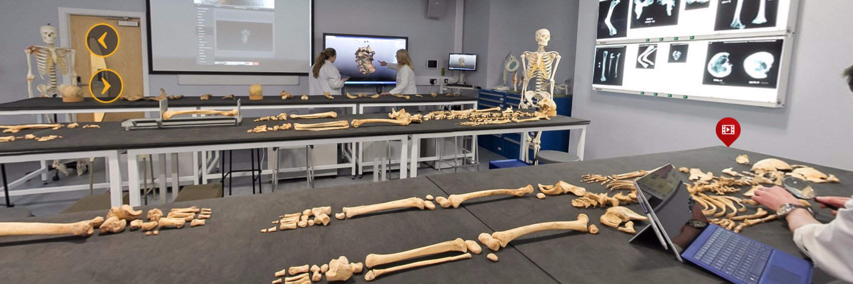 osteo_jo's profile banner image