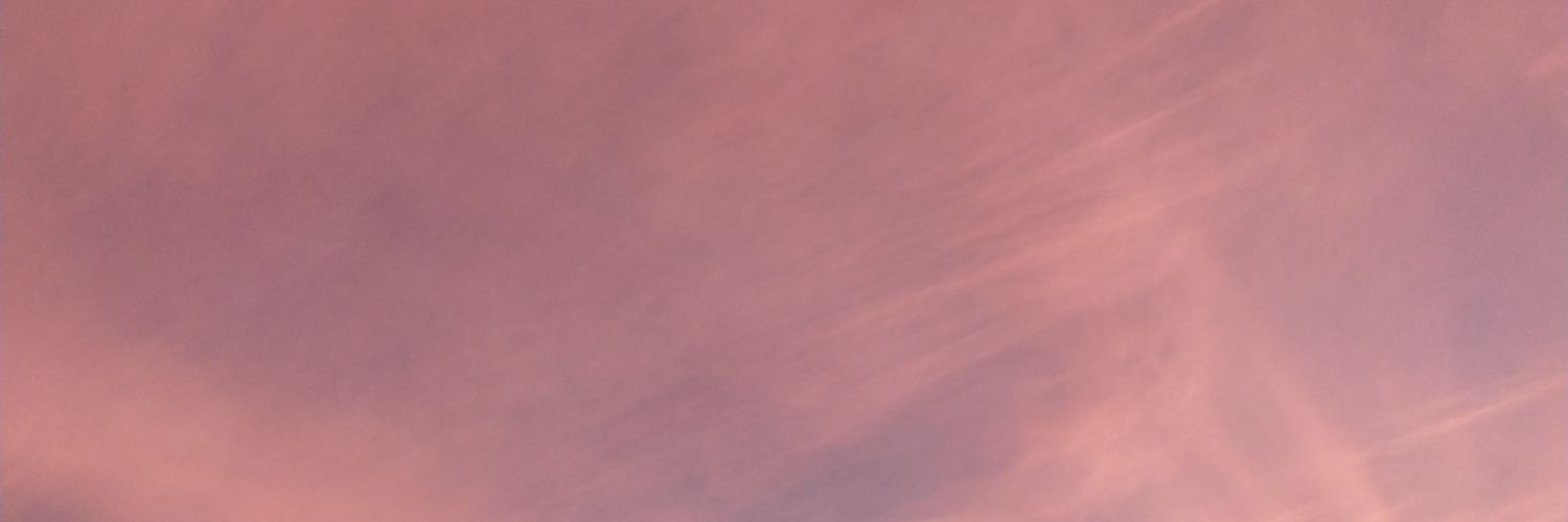 carpediar's profile banner image