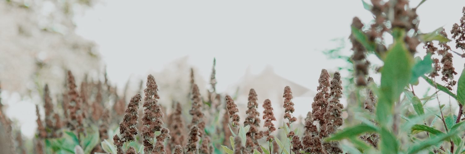 bethsbookshelf_'s profile banner image