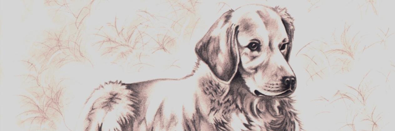 yezoj's profile banner image