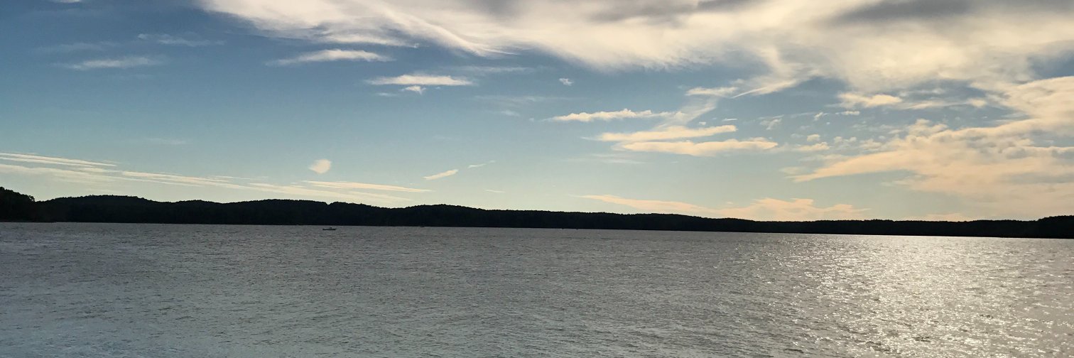 ellienmarlor's profile banner image