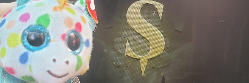 Cholport banner