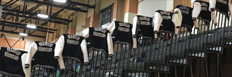 Franklin Wrestling banner