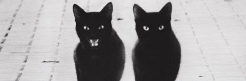 JaHeezy_'s profile banner image