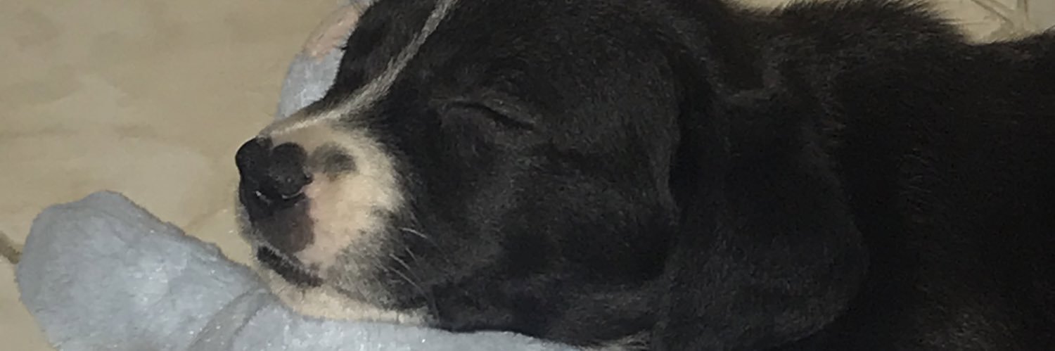 Valb__'s profile banner image
