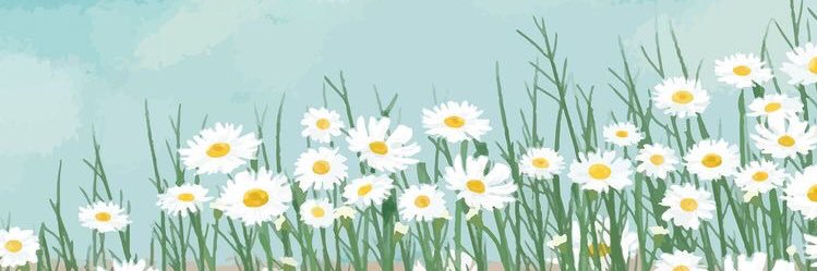 permataghe's profile banner image