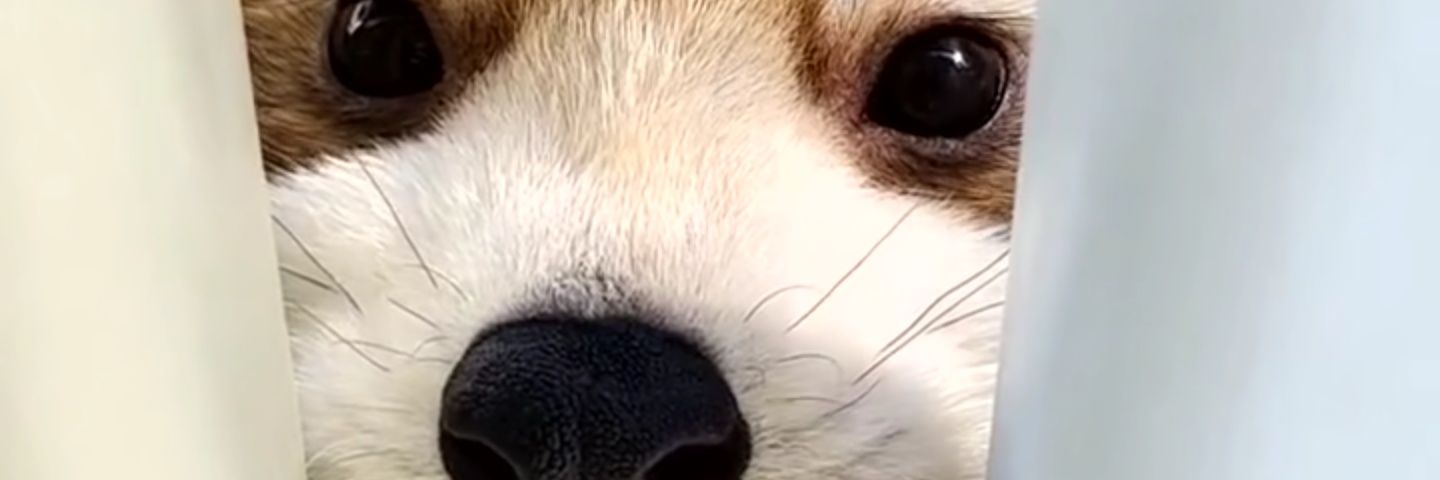 ohynce's profile banner image