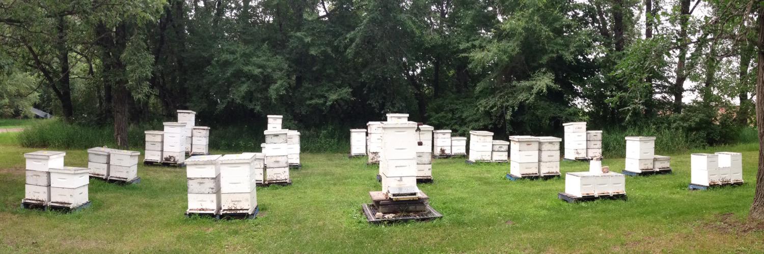 Golden Bee Apiaries banner