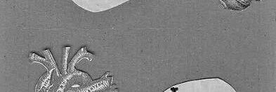 BabyJRas's profile banner image