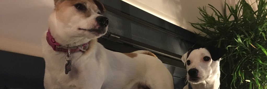 kerauda14's profile banner image