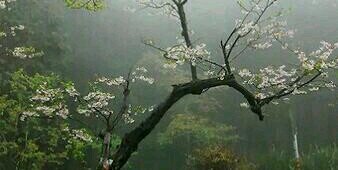 lim59771's profile banner image