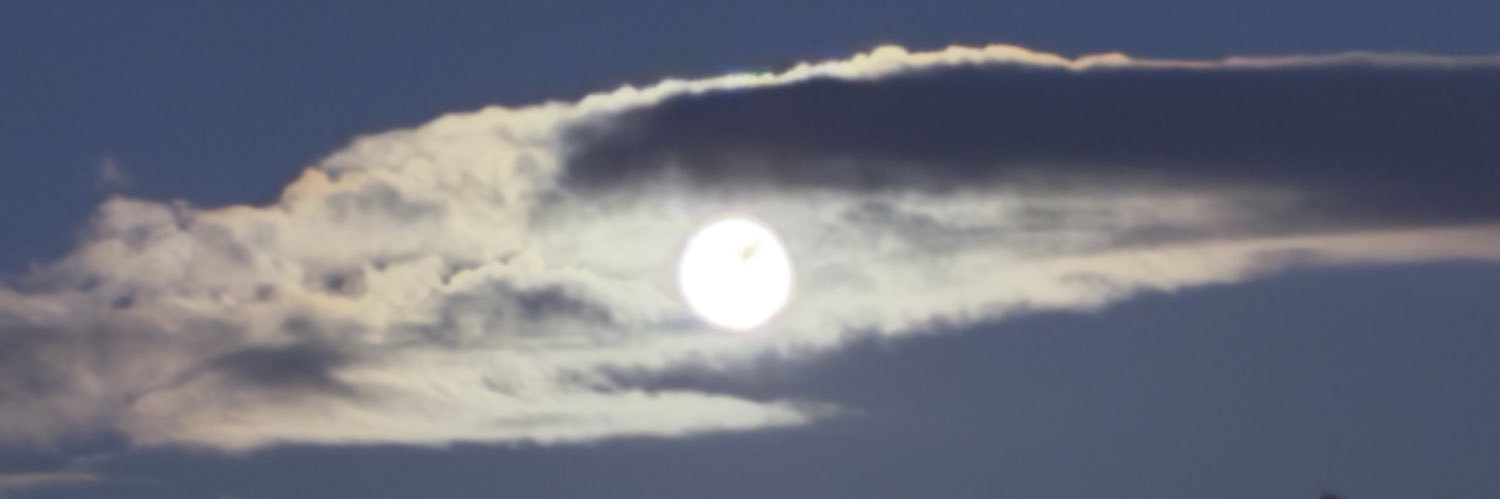 Tor Rune Raabye banner