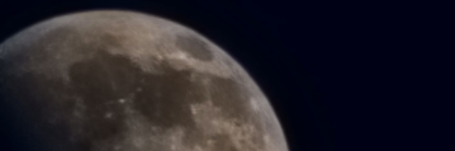 NitWitForReal's profile banner image